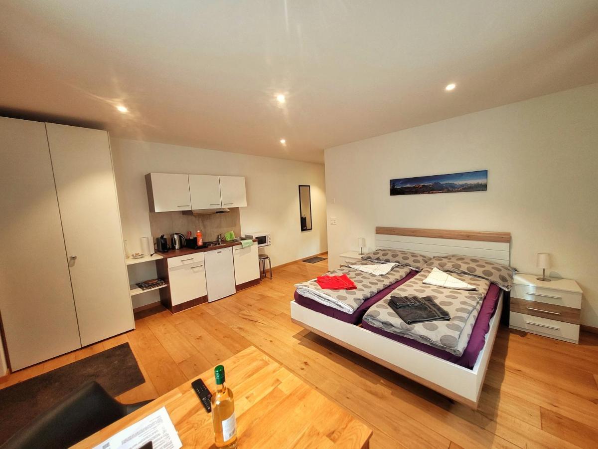 Brunnematta Appartement *